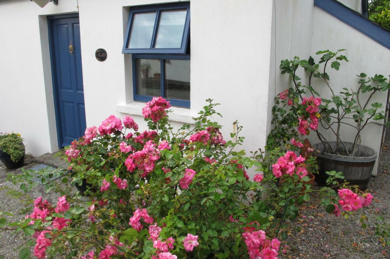 Muckle Flugga Villa Goleen Exteriör bild